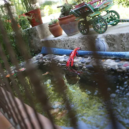 Alojamento de Acomodação e Pequeno-almoço Taraça Romantik