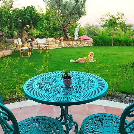 Taraça Romantik Alojamento de Acomodação e Pequeno-almoço 4*