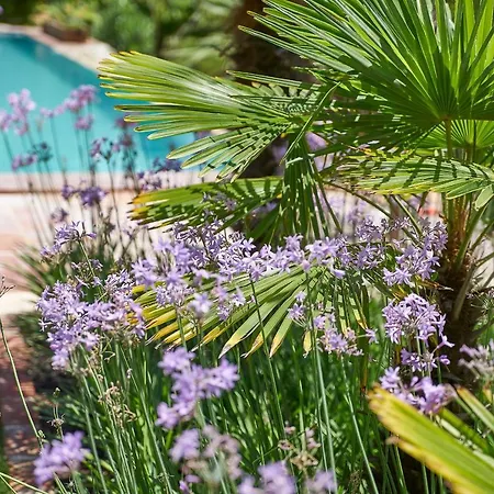 Taraça Romantik Alojamento de Acomodação e Pequeno-almoço